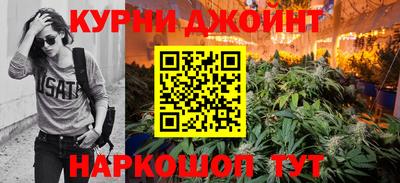 индика Будённовск