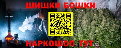 индика Будённовск