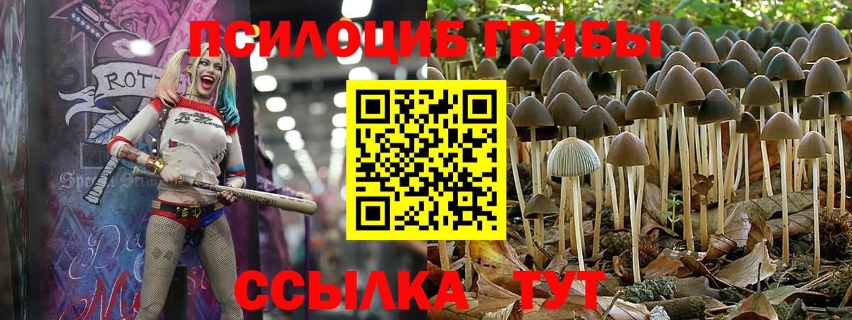 Саранск  Галлюциногенные грибы MAGIC MUSHROOMS  цена наркотик  Вход с VPN 