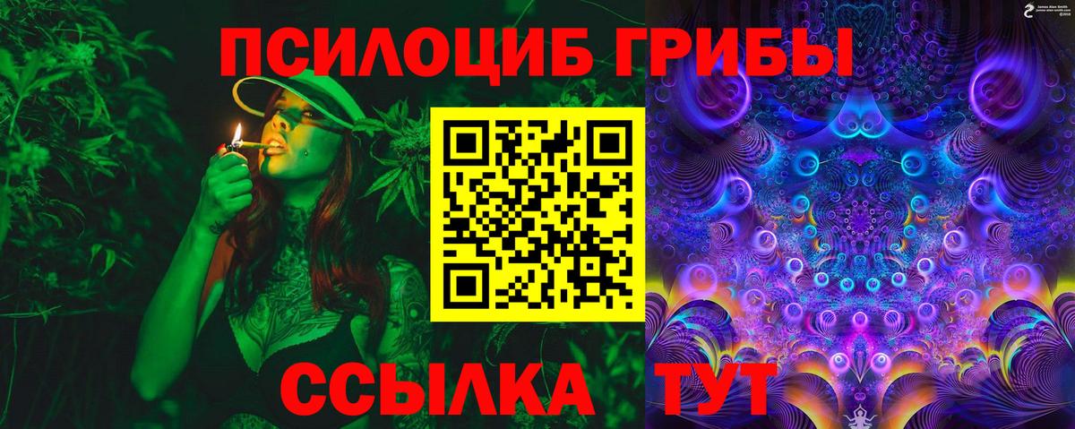 Псилоцибиновые грибы мицелий Саранск